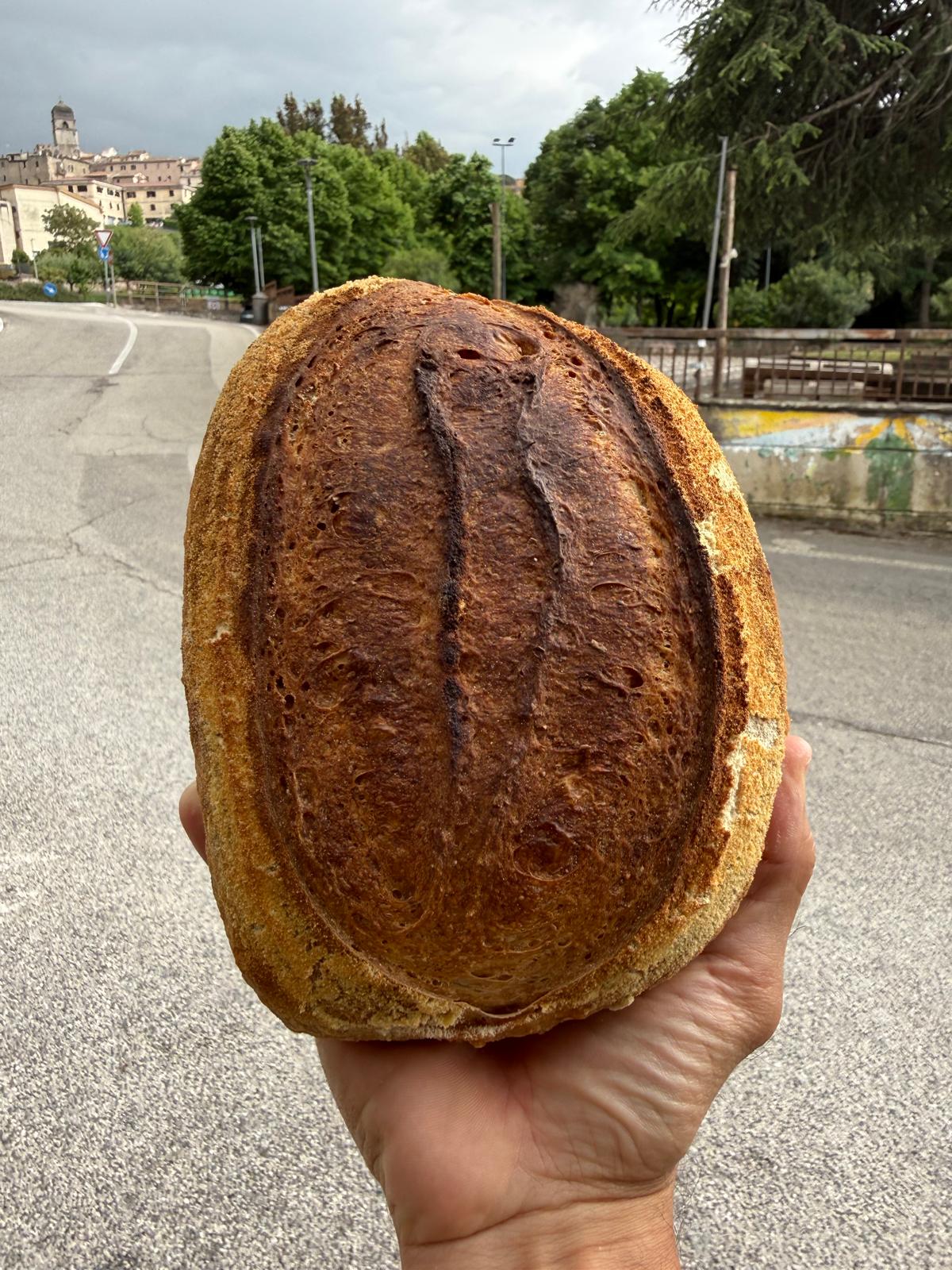 Pizzuò foto 12